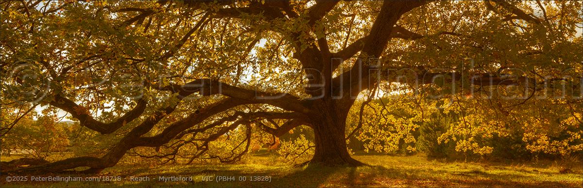 Peter Bellingham Photography Reach - Myrtleford - VIC (PBH4 00 13828)